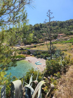Robinson Crusoe holiday house